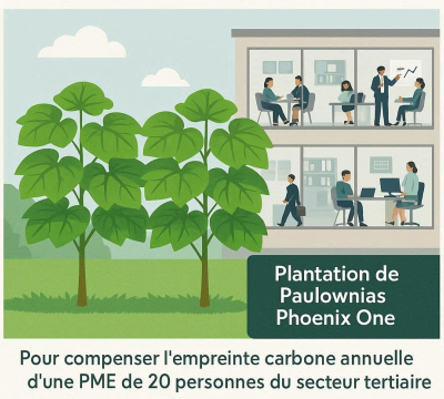 Compensation Empreinte PME - 100 Tonnes de CO2